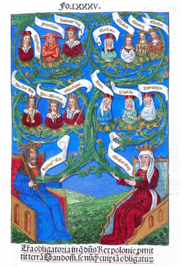 średniowieczna iluminacja przedstawiająca brodatego króla w koronie i jego żonę, z których wyrasta zielone drzewo genealogiczne z gałęziami, na którym znajdują się popiersia monarchów i księżniczek jagiellońskich